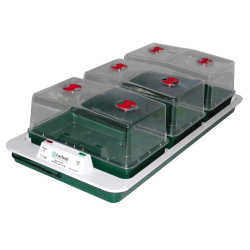Garland propagator Garland propagator