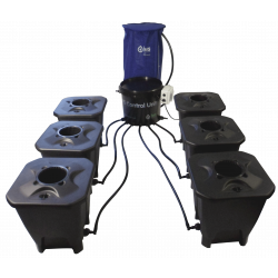 IWS / Deep Water Culture (DWC) IWS / Deep Water Culture (DWC)