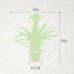 Guzmania Calypso single Guzmania Calypso single