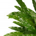 Decorum Calathea Bluegrass met Elho brussels soap