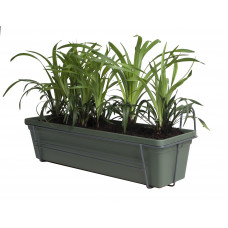 Leliegras in ELHO ® Green Basics balkonbak (Bladgroen) met metalen balkonrek